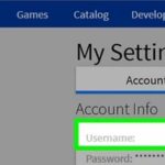 How To Get Display Name On Roblox
